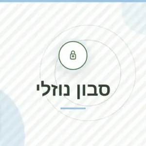 חבילת סבון נוזלי: קורס הכנה + ספר דיגיטלי